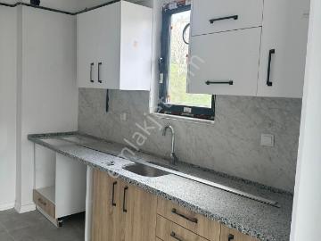 Ardıçlı, Niksar, Niksar, Tokat ili, Karadeniz Bölgesi