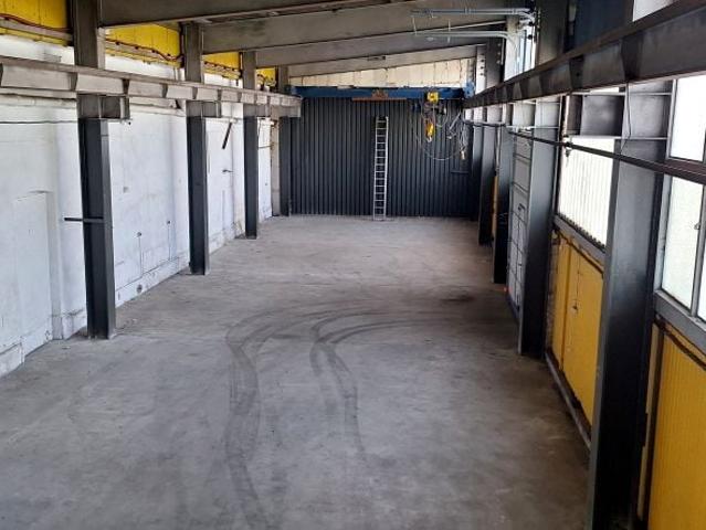 Adama Mickiewicza 300 m², Strzegom