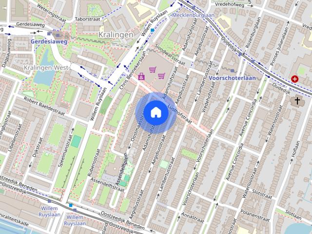 Adamshofstraat, 3061 ZC Rotterdam