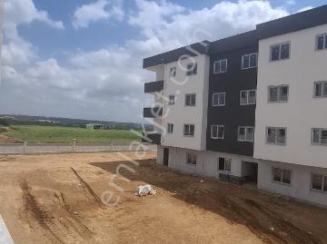 Beyceli Köyü, Adana, Adana ili, Akdeniz Bölgesi