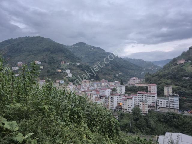 Adaplatin'den Şalpazarı Merkezde 145m2 2 Balkonlu 2 Banyolu 4+1