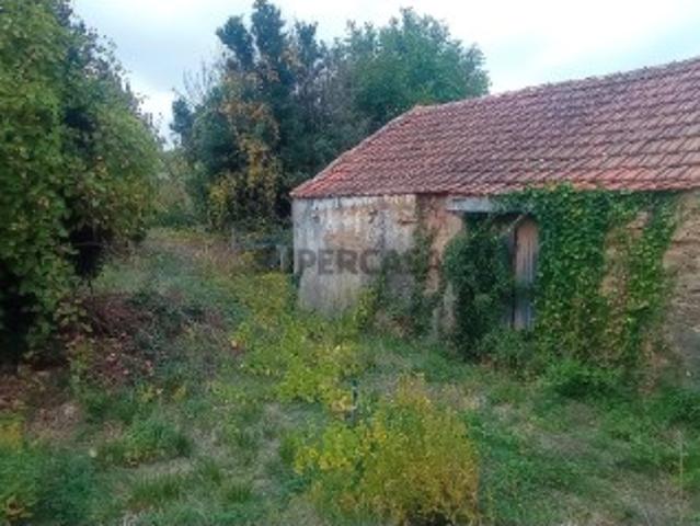 Adega / Armazém com projecto de arquitetura aprovado para conversão em moradia T3, com terreno em Ventosa, Alenquer