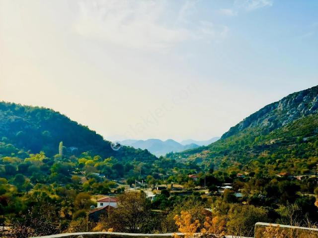 Adres Emlak Söğütte Tapuya Kayıtlı Taş Ev Ve Arsası