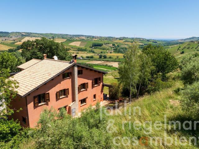 Affascinante tenuta di campagna in vendita con piscina, uliv. 512m² Città Sant'Angelo
