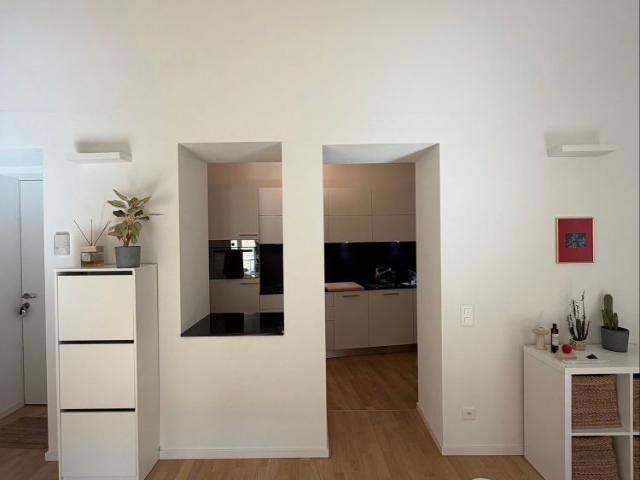 Affittasi ampio monolocale nel cuore di Locarno