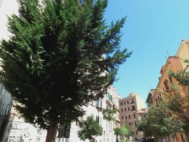 Affittasi Appartamento, MONOLOCALE AMPIO IN ZONA PIGNETO Annunci Roma, Zona Pigneto Rif.513628