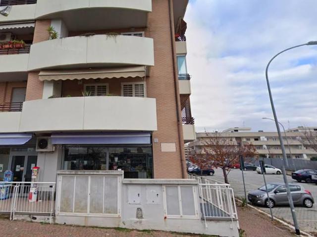 Affittasi Appartamento, MONOLOCALE AMPIO IN ZONA PORTA DI ROMA Annunci Roma Roma Rif.513588