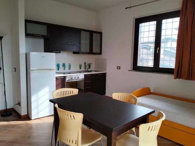 Affittasi Appartamento, Monolocale Trigoria Annunci Roma, Zona Trigoria Rif.636780