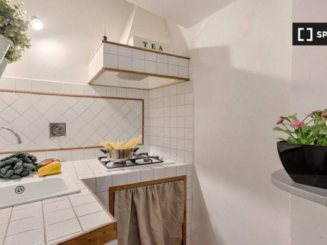 Affittasi appartamento a Firenze, Santo Spirito