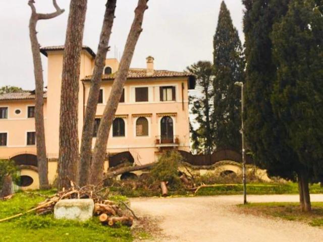 Affittasi Appartamento, Appartamento via dei Monti Parioli, Roma Annunci Roma, Zona Parioli Rif.64125