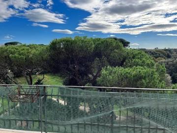 Affittasi Appartamento, Appartamento Annunci Roma Roma Rif.518558
