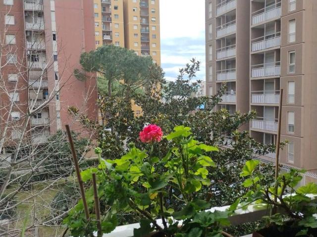 Affittasi Appartamento, Colli Aniene Annunci Roma Roma Rif.639340