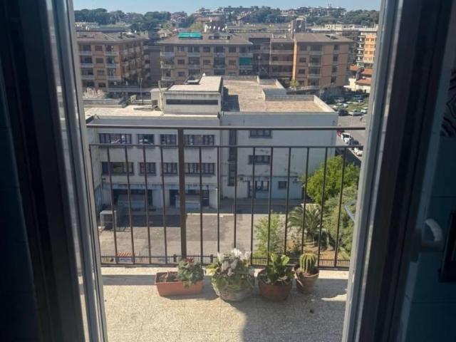 Affittasi Appartamento, CONCA D'ORO PIANO ALTO MQ. 65 Annunci Roma Roma Rif.641422