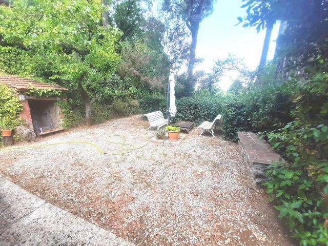 Affittasi Appartamento, Depedance semi indipendente immerso nel verde Annunci Monte Porzio Catone Roma Rif.642273