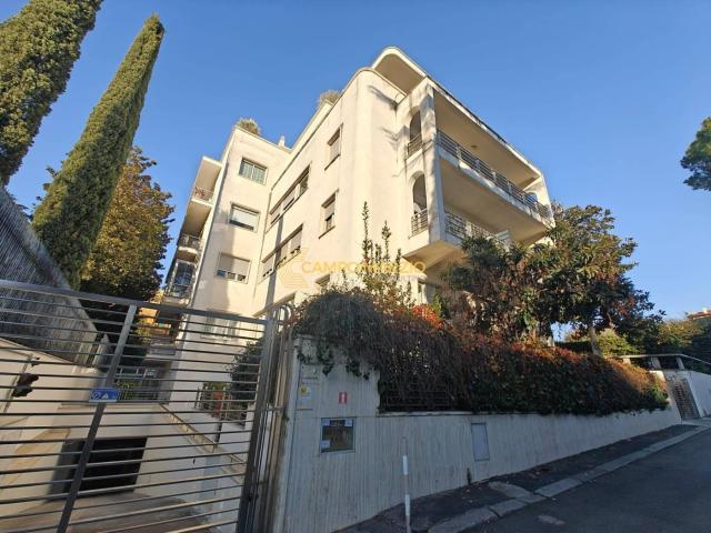 Affittasi Appartamento, Parioli Bilocale con terrazzo e box auto Annunci Roma Roma Rif.645393