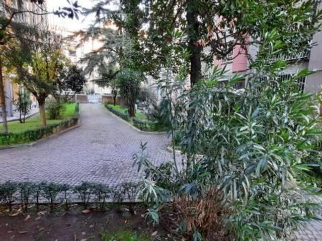 Affittasi Appartamento, STANZA IN AFFITTO IN APPARTAMENTO Annunci Roma Roma Rif.626312