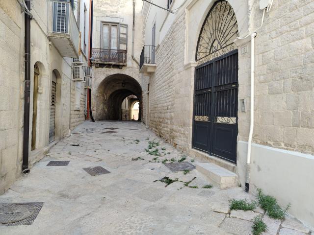 AFFITTASI APPARTAMENTO VIA DOGANA VECCHIA, 17