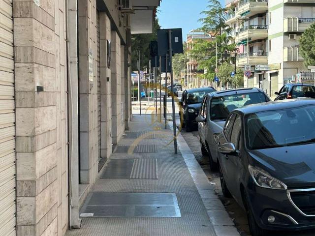 AFFITTASI appartamento Zona Pineta