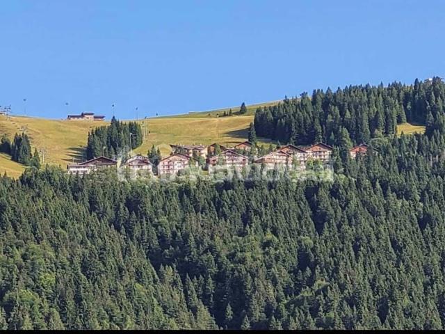 Affittasi bilocale a Castione della Presolana via Pian del Termen