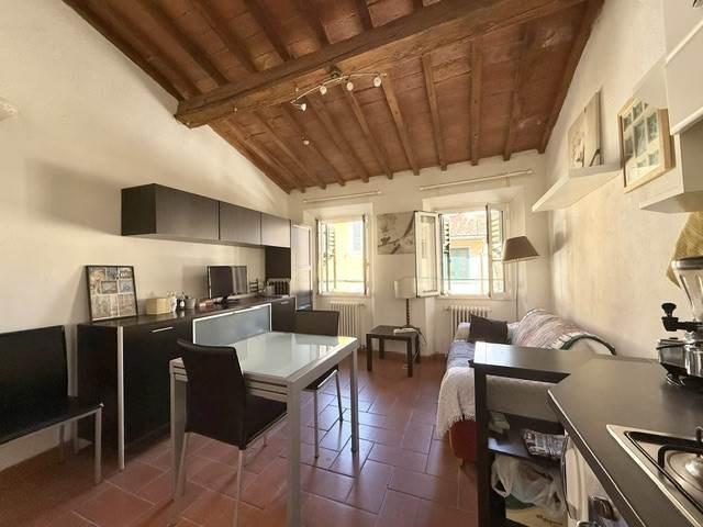 Affittasi bilocale a Firenze, San Niccolò