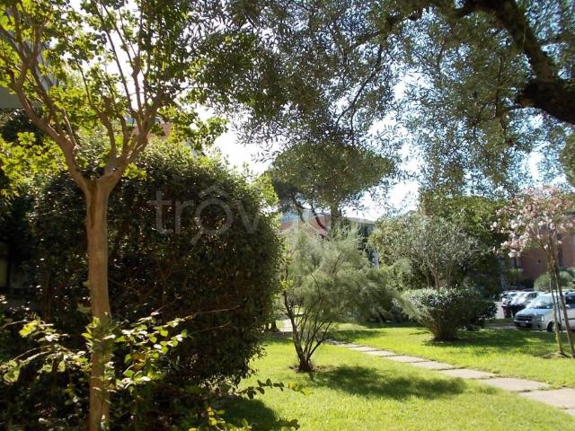 Affittasi bilocale a Roma via Evemero, 9, Casal Palocco