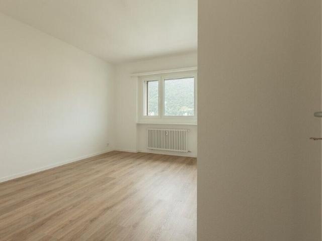 Affittasi grazioso appartamento recentemente rinnovato