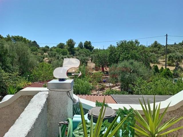 Affittasi Monovano in Porzione di Villa Singola – COZZE/CONVERSANO