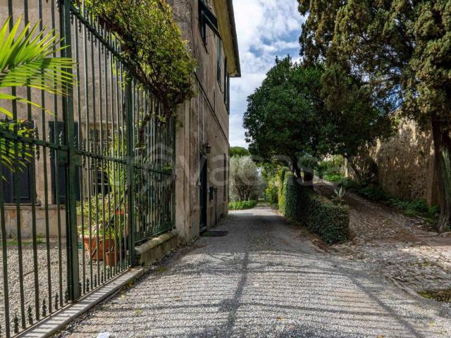 Affittasi quadrilocale a Genova, Quarto