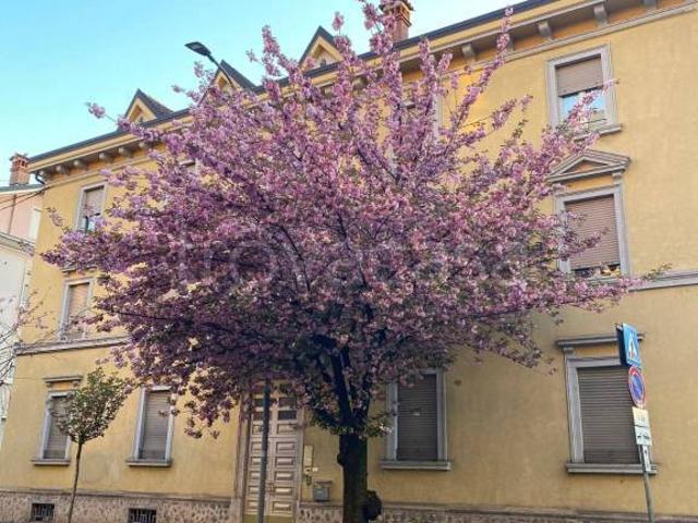 Affittasi trilocale a Bergamo, Centro