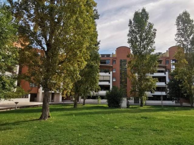 Affittasi trilocale a Roma via Roberto Raviola, Mezzocammino