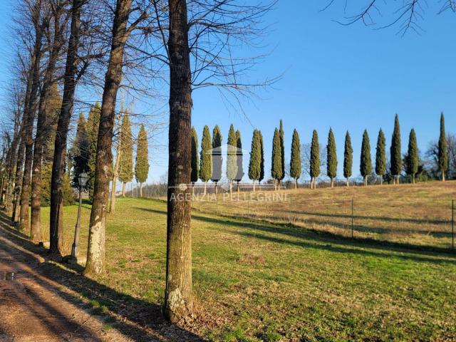AFFITTASI VILLA IN COLLINA a soli 15 minuti dal centro storico di Vicenza