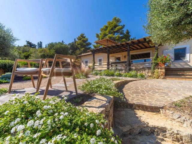 Affittasi villa singola a Monte Argentario, Porto Santo Stefano