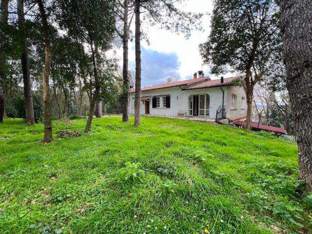 Affitto Appartamento VillaFastiggi Marco