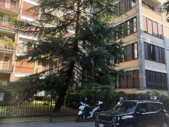 Affitto Appartamento, in zona BOCCONI, MILANO
