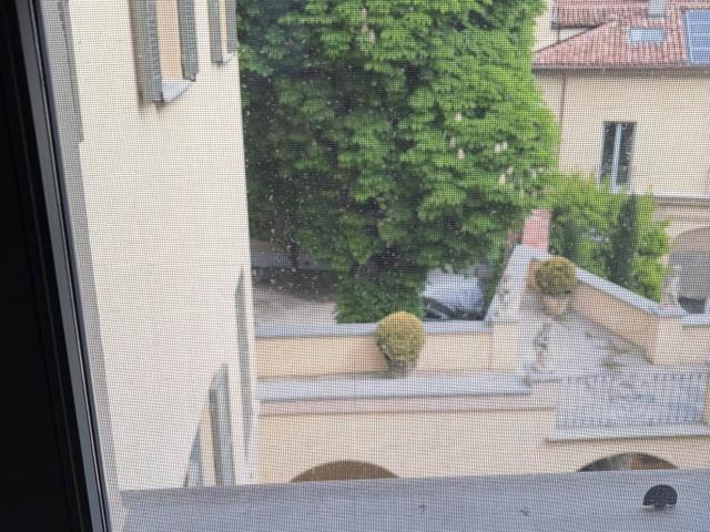Affitto Appartamento, in zona CENTRO STORICO, PIACENZA