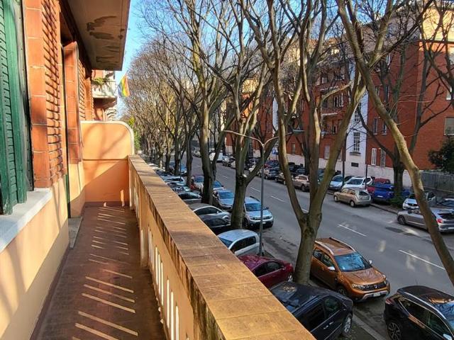 Affitto Appartamento, in zona CITTÀ STUDI, MILANO