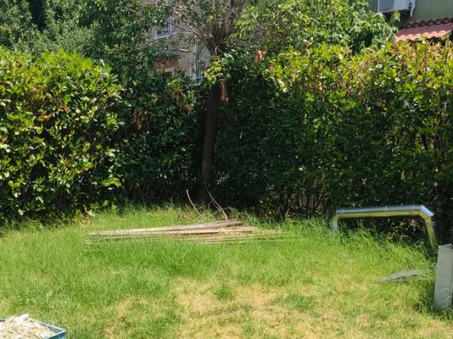 Affitto Casa a Schiera Fiorita, Cesena IDEALE PER STUDENTI