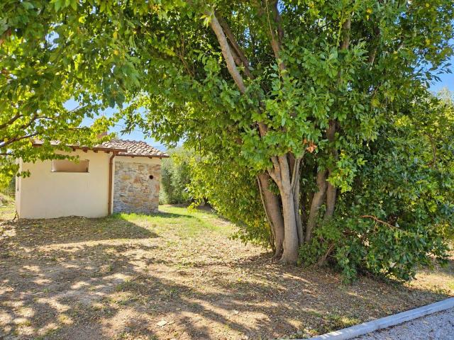 Affitto Rustico casale, in zona SAN GINESE DI COMPITO, CAPANNORI