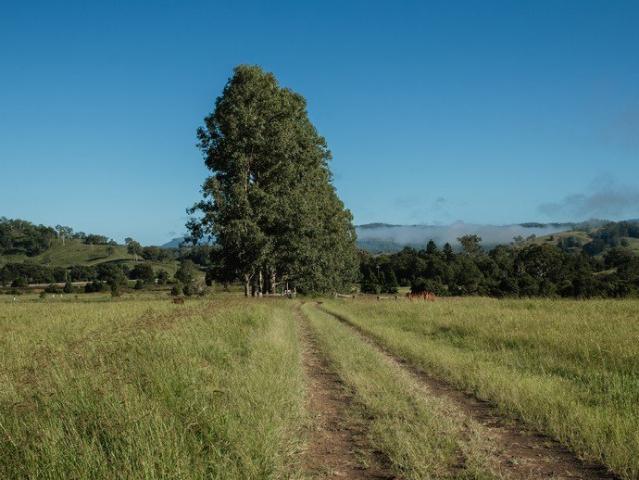 Affordable, Easy Build 1.2 Acre Block