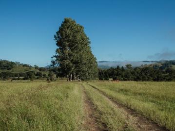 Affordable, Easy Build 1.2 Acre Block