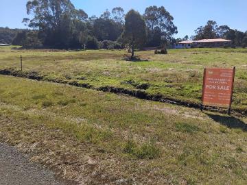Zeehan, West Coast, Mount McCutcheon