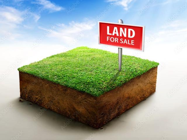 Street Front Land