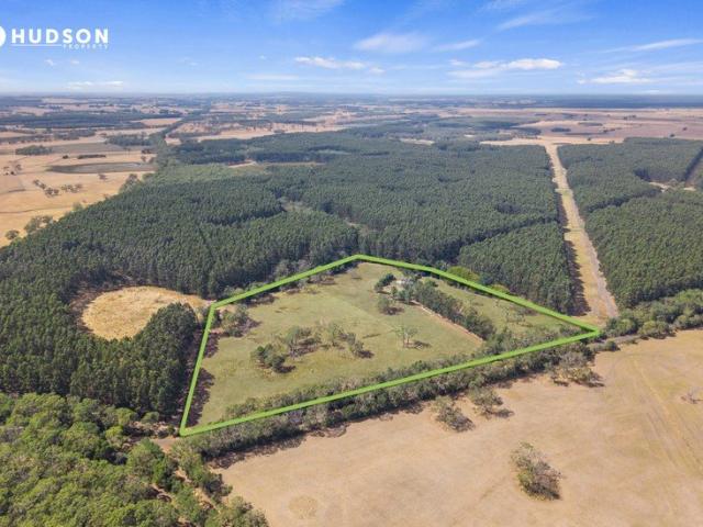 Affordable & Unique Drumborg Home Plus Acreage