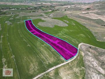 Sincan, Ankara ili, İç Anadolu Bölgesi