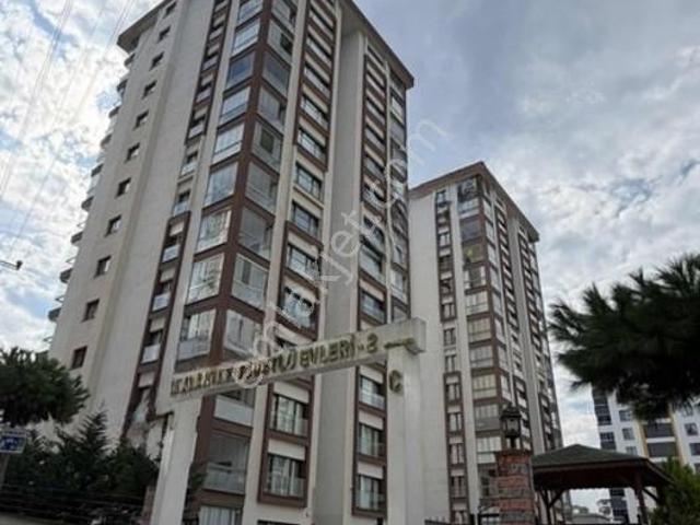 Çakabey Gayrimenkulden Söğütlü Aktaş Evlerinde Kiralık 3+1 Daire