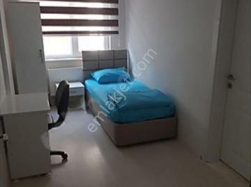 Dalgıç Sokak, Odunpazarı, Eskişehir, Eskişehir ili, İç Anadolu Bölgesi