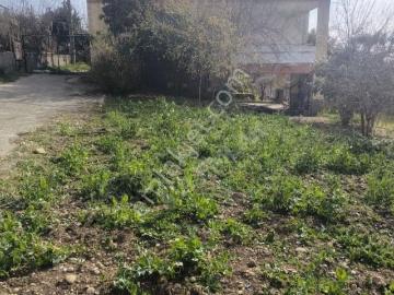 Akarca Yaylası'nda 960m2 Arsa İçerisinde Müstakil Evli Yaylalık