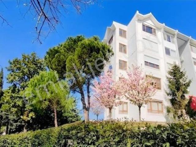 Akasya 3 Kısa Katlılarda İçi Tamamen Restoreli Boş 3,5+1 189m2