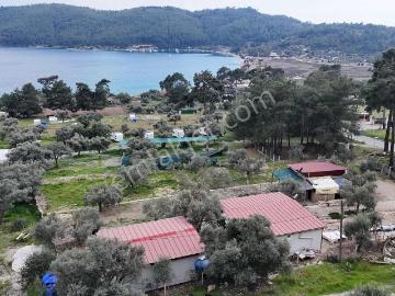 Menteşe, Muğla ili, Ege Bölgesi - Klima