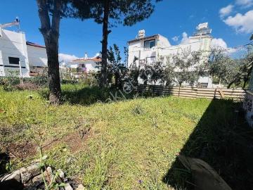 Akbük, Didim, Didim, Aydın ili, Ege Bölgesi